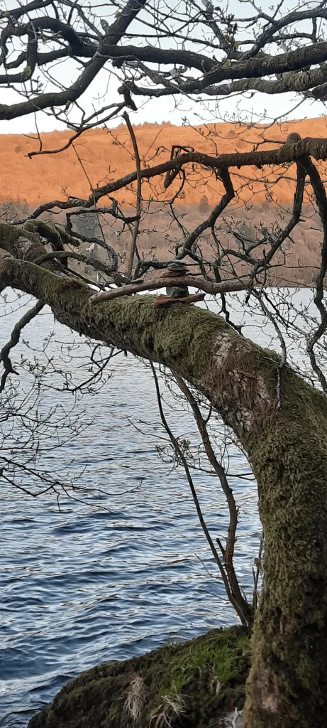 Stone Balancing, it was titled compass.